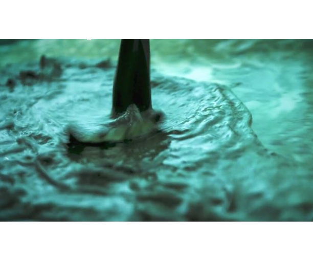Spirulina